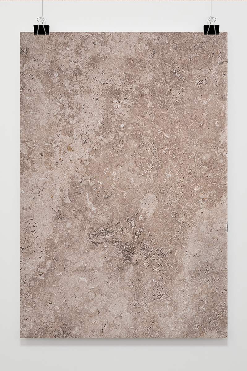 French Beige - Image 2